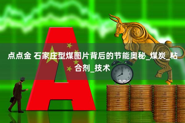 点点金 石家庄型煤图片背后的节能奥秘_煤炭_粘合剂_技术