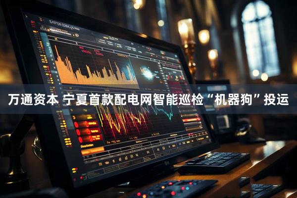 万通资本 宁夏首款配电网智能巡检“机器狗”投运